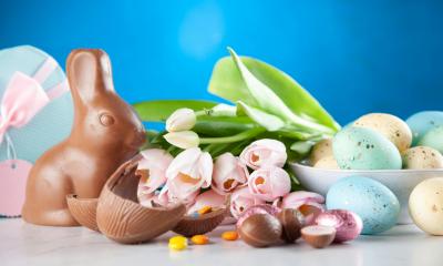 Chocolate easter bunny with chocolate egg, pink flowers and colourful eggs