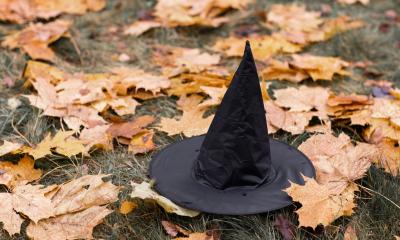 Witches hat on orange leaves